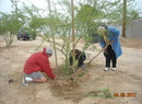 Serve tucson 043